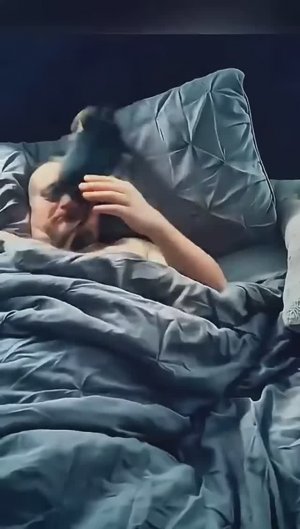 Доброе утро! Смешные домашние питомцы 🐕🦺🚶♀️🌞