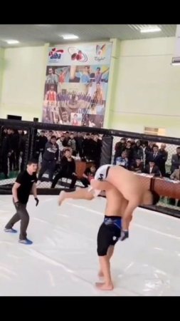 Лучшие нокауты Подпишись и ставь лайк #ufc #mma #youtube #sports #tiktok #shortsvideo #russia #box