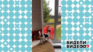 Любовь и 18 лет брака. Видели видео? Фрагмент выпуска от 01.06.2025
