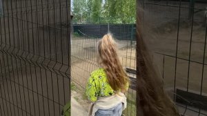 Зоопарк