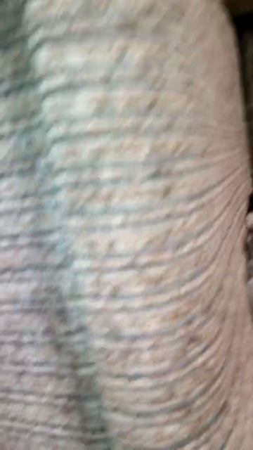 У меня есть кошка Муся смотреть онлайн