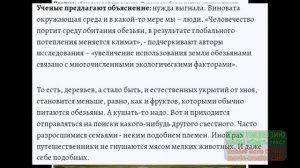 "Планета обезьян" - это реальность!