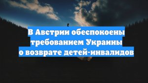 В Австрии обеспокоены требованием Украины о возврате детей-инвалидов
