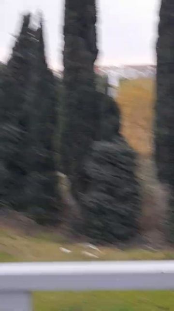 Окрестности трассы Формулы 1 в Сочи смотреть онлайн