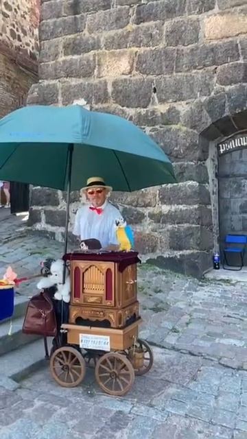 Уличный музыкант в Санкт-Петербурге. смотреть онлайн