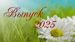 группа ромашки