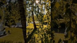 Польский сад в усадьбе Державина