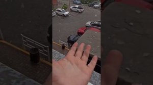1 июня и три дня до