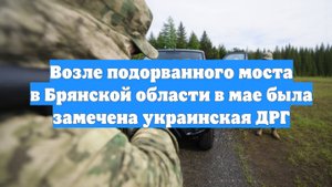 Возле подорванного моста в Брянской области в мае была замечена украинская ДРГ