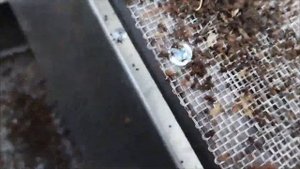 Вибросито ВС -8рн для червя Костанай 11.24