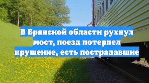 В Брянской области рухнул мост, поезд потерпел крушение, есть пострадавшие