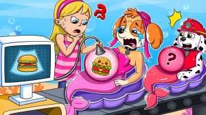 Таинственный Гамбургер?! Что Случилось С Беременной Скай? Щенячий патруль