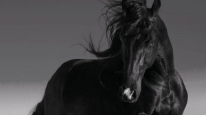 что такое целостность