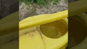 Чтоб огурцы завалили вас урожаем.