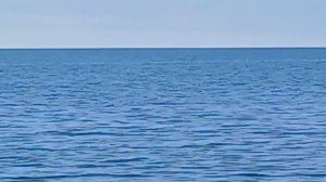 Можно разглядеть дельфинов