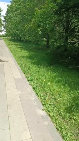 В парке.