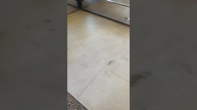 Установил фетровый уплотнитель на независимые створк смотреть онлайн