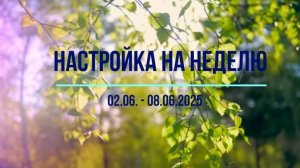 Настройка на неделю 2.06 - 8.06.2025. #психология #осознанность
