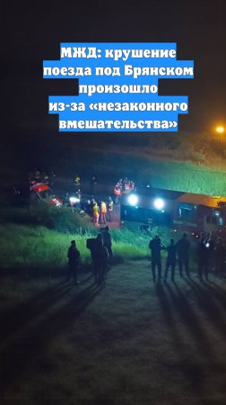 МЖД: крушение поезда под Брянском произошло из-за «незаконного вмешательства»
