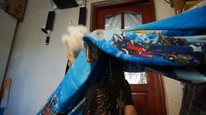 История игрушек 1 сезон 3 серия дом паддингтона