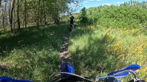 Тропа в оленем логу
