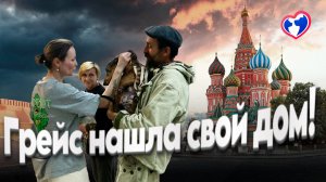 Грейс нашла свой дом! История спасения собаки с диабетом