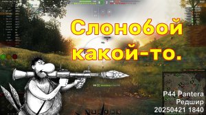 Слонобой какой-то. P44 Pantera. Редшир. 20250421 1840.