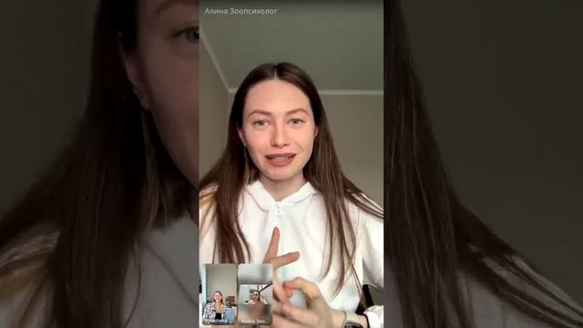 Разоблачение школы зоопсихологии PSY.KRI-SCHOOL (честная обратная связь от учеников)