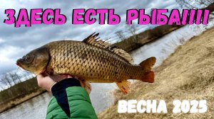 ️ЭТО ЛУЧШАЯ РЫБАЛКА ВЕСНОЙ, НА КАСТИНГОВУЮ СЕТЬ!!!