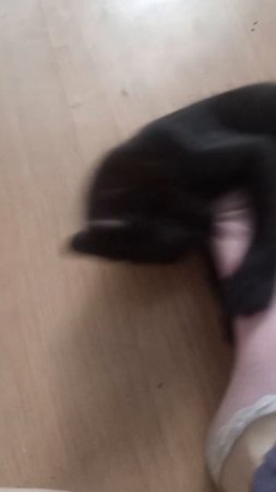 Топ_Дизайнер