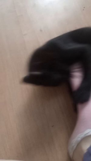 Топ_Дизайнер