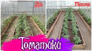 31.05.25 Убралась в теплицах. Приготовили вкусный плов в казане.