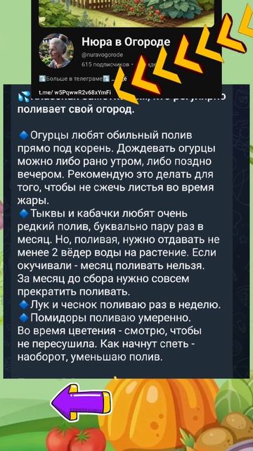 Поливать нужно с умом, рассказала кратко как лучше это смотреть онлайн