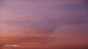 432Hz 》УСПОКОЙ СВОЮ ДУШУ 》Настройтесь на жизненную волну Природы