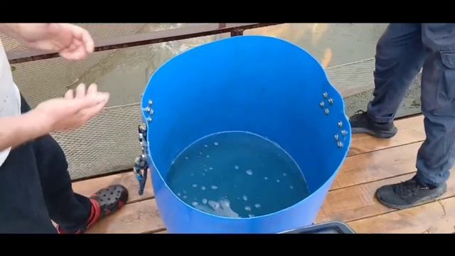 01-06-2025 смотреть онлайн