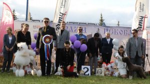 31.05.2025, Псков. Клуб КСиДС (РКФ, РФСС). Рейтинговая выставка ПСКОВСКИЙ РУБЕЖ (САС, ЧРКФ)