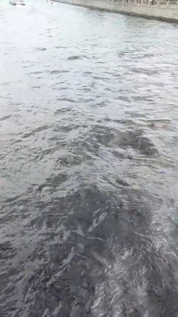 #питер #санктпетербург смотреть онлайн