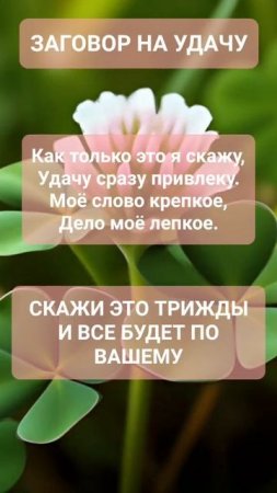 ЗАГОВОР НА УДАЧУ #онлайн #ритуал #shorts #светланаведа
