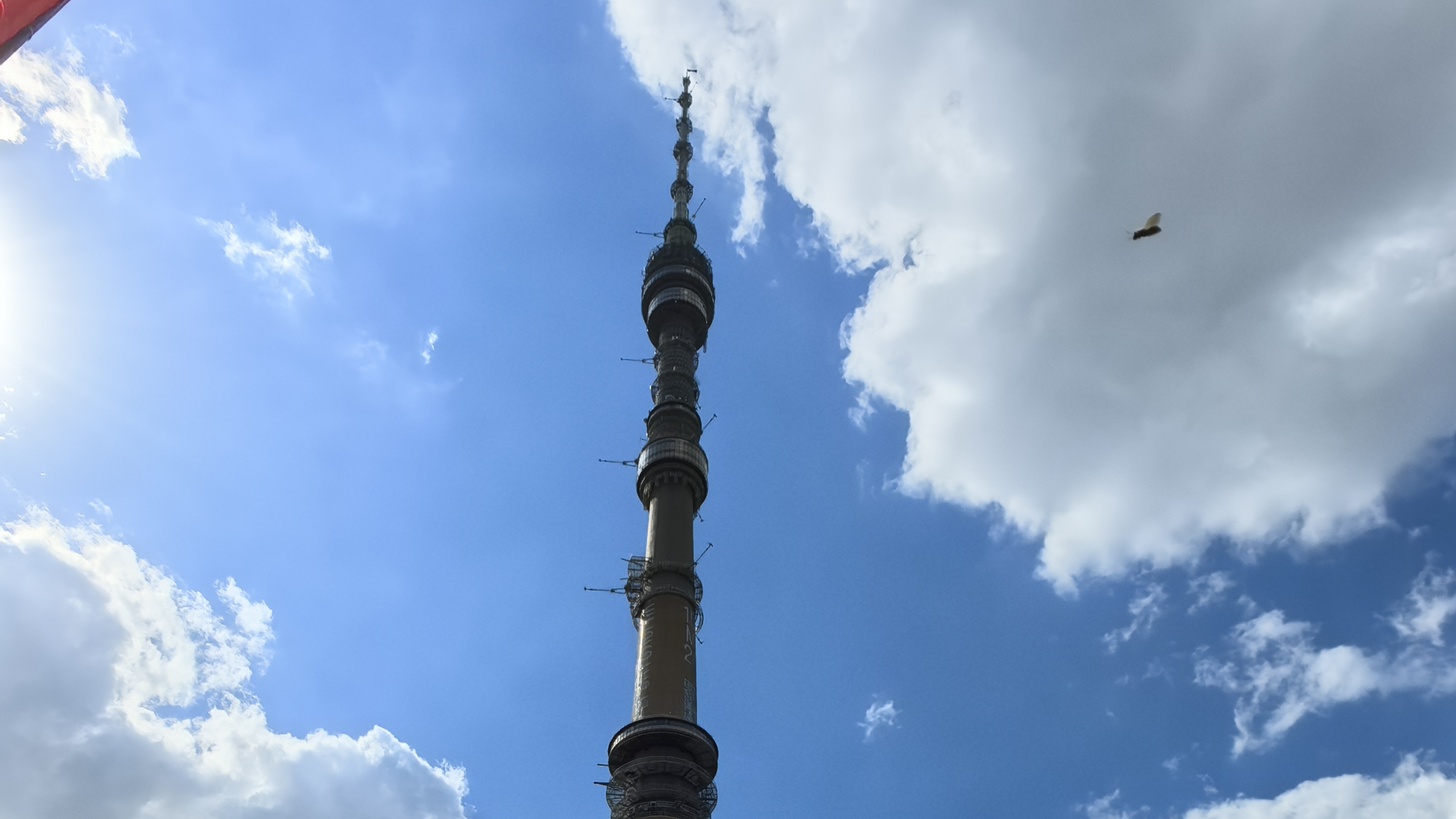 Вид с Останкинской башни/ смотровая площадка 337м