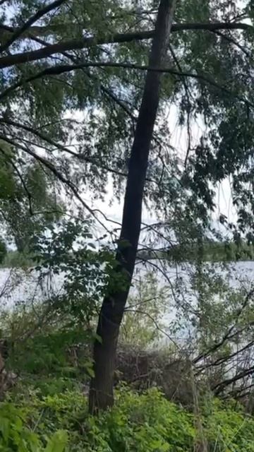 позитивчик🎼🌱 смотреть онлайн