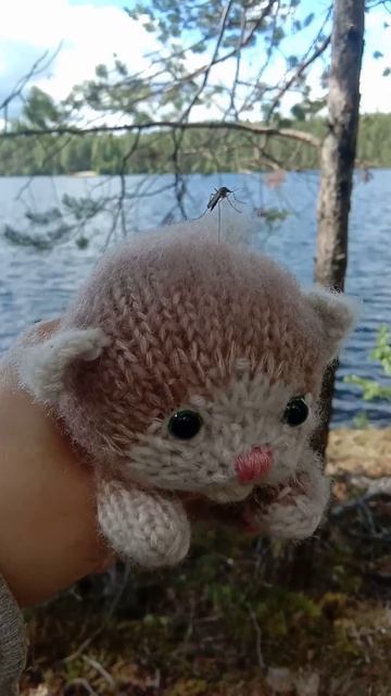 #котенок #игрушкакотик #игрушкиспицами