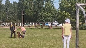 2 Отл. СС ZORGE v. Frosten +++ №14. КЧК КРАСНОДАР 24 мая`25 Н.Морева Моно нем.овч.