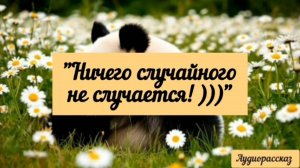 Жизнь иногда такие кружева из событий плетёт. Если бы кто рассказал, что так будет- не поверила.