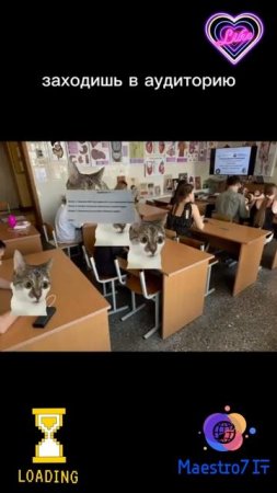 💻 Студент приходит на экзамен ...
