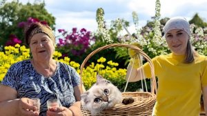 ПУТЕШЕСТВИЕ МАРСА/ВЫСАДКА ПЕРЦА,ЦВЕТОВ/СТОЖКИ ИЗ ФАРША/ПРИБАВЛяЕМ ЗАБОР ДЛя ВЫГУЛА