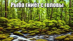 Рыба гниёт с головы