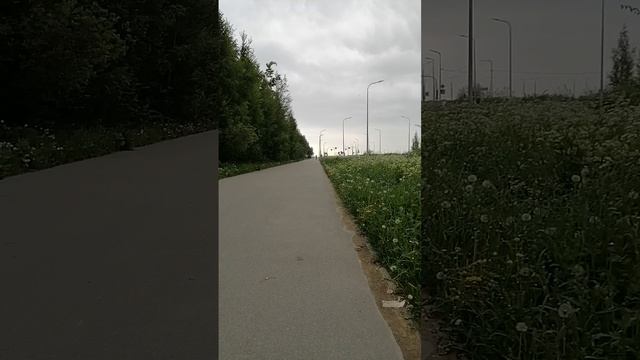 VID_20250531_104020