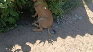 Херсонщина 1 июня 2025 года