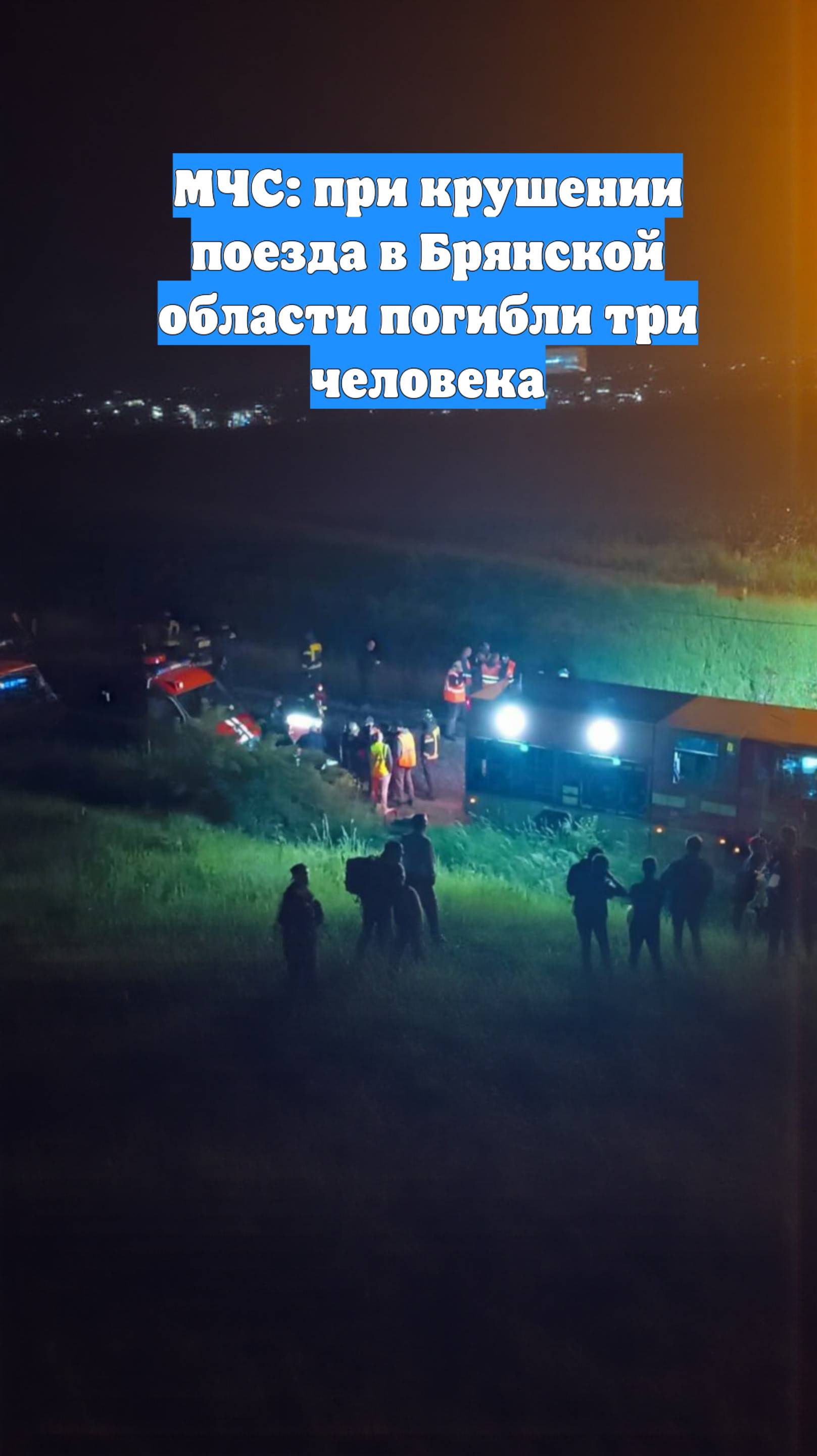 МЧС: при крушении поезда в Брянской области погибли три человека