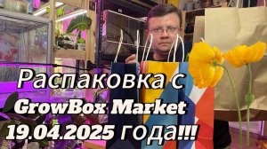 Распаковка растений с GrowBox Market от 19.04.2025. Обзор!!!